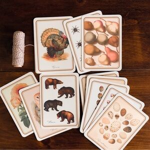 Counting Flashcards  1-20 homeschooling